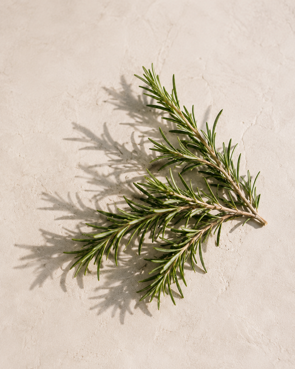 Ingredient image